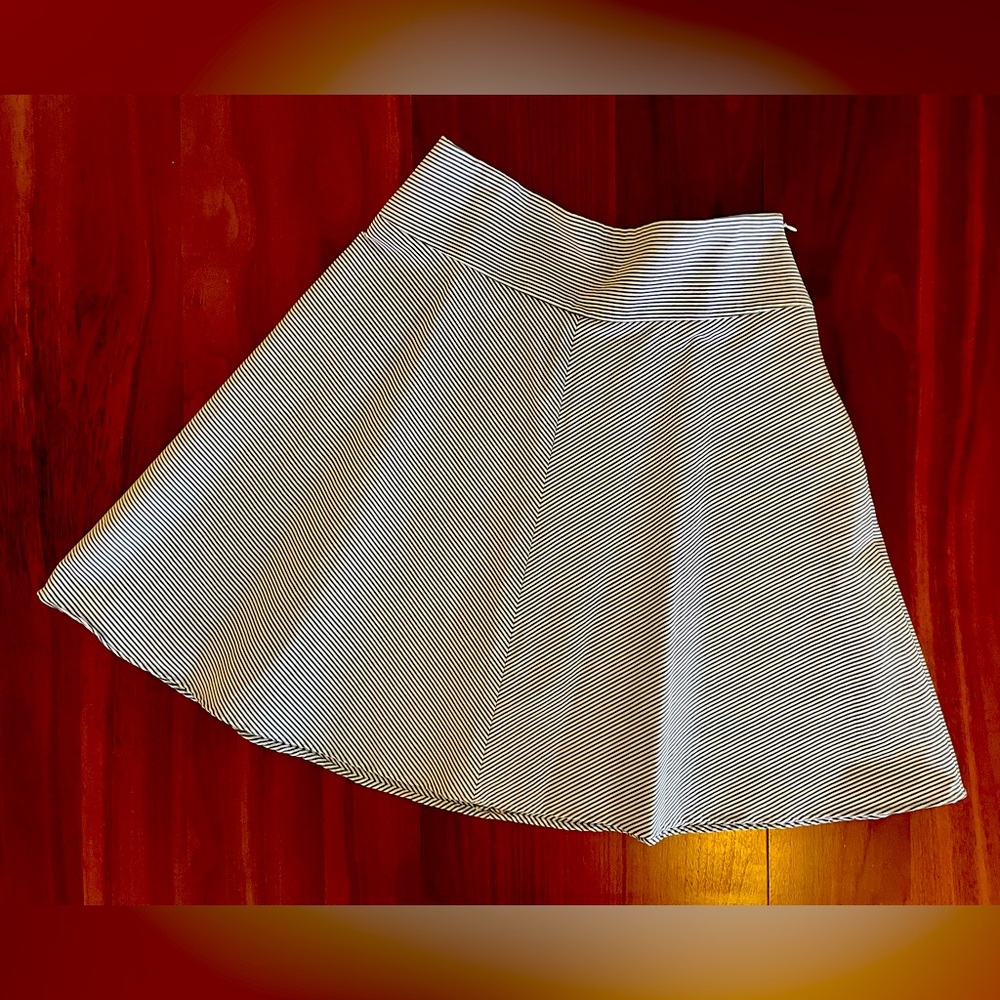 Anne Taylor A-Line Skirt